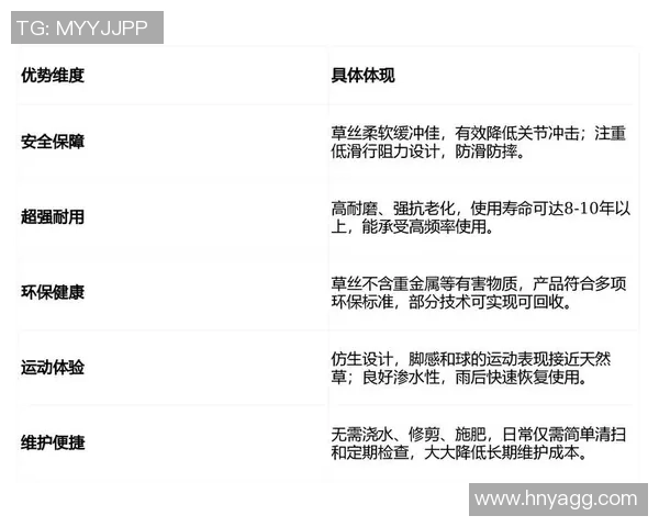 选择优质足球场草种子提升场地质量与运动表现的全面指南